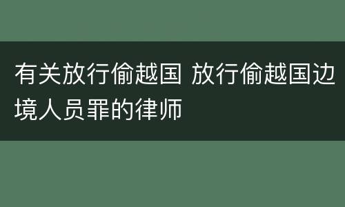 有关放行偷越国 放行偷越国边境人员罪的律师