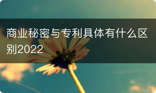 商业秘密与专利具体有什么区别2022