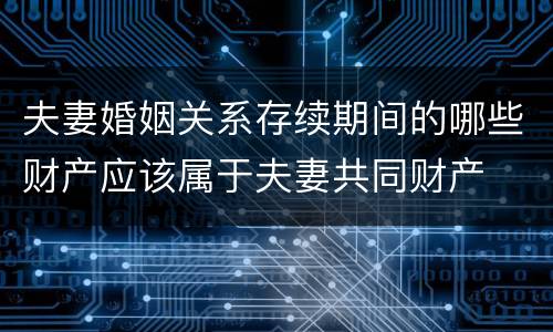 夫妻婚姻关系存续期间的哪些财产应该属于夫妻共同财产