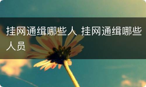 挂网通缉哪些人 挂网通缉哪些人员