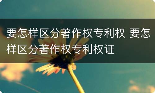 要怎样区分著作权专利权 要怎样区分著作权专利权证