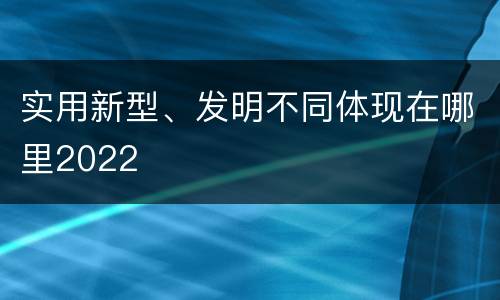 实用新型、发明不同体现在哪里2022