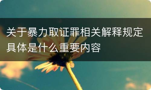 关于暴力取证罪相关解释规定具体是什么重要内容