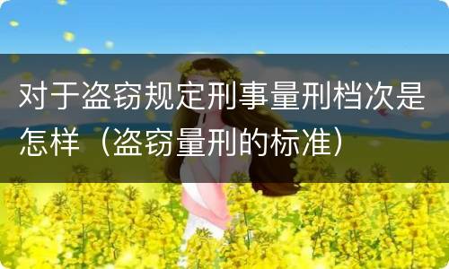 对于盗窃规定刑事量刑档次是怎样（盗窃量刑的标准）