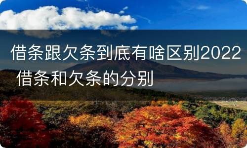 借条跟欠条到底有啥区别2022 借条和欠条的分别