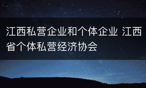 江西私营企业和个体企业 江西省个体私营经济协会