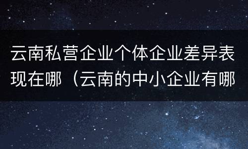 云南私营企业个体企业差异表现在哪（云南的中小企业有哪些）