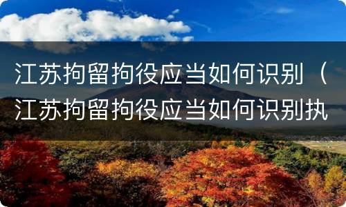 江苏拘留拘役应当如何识别（江苏拘留拘役应当如何识别执行）