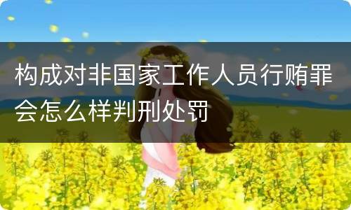 构成对非国家工作人员行贿罪会怎么样判刑处罚