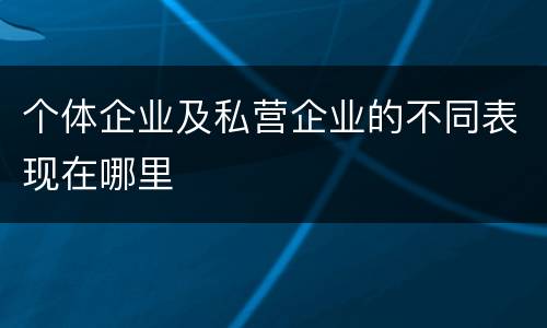 个体企业及私营企业的不同表现在哪里