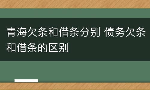青海欠条和借条分别 债务欠条和借条的区别
