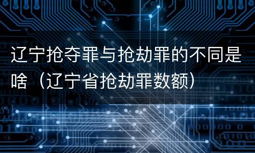 辽宁抢夺罪与抢劫罪的不同是啥（辽宁省抢劫罪数额）