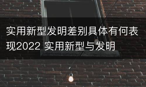 实用新型发明差别具体有何表现2022 实用新型与发明