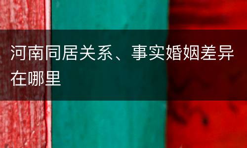 河南同居关系、事实婚姻差异在哪里