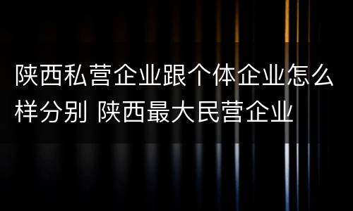 陕西私营企业跟个体企业怎么样分别 陕西最大民营企业