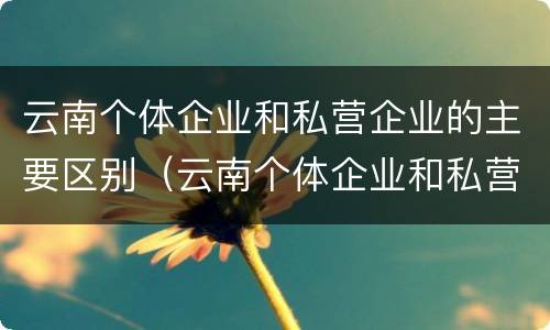云南个体企业和私营企业的主要区别（云南个体企业和私营企业的主要区别是）