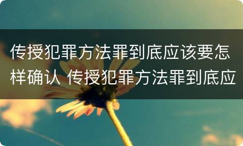 传授犯罪方法罪到底应该要怎样确认 传授犯罪方法罪到底应该要怎样确认罪名