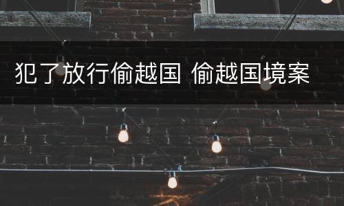 犯了放行偷越国 偷越国境案