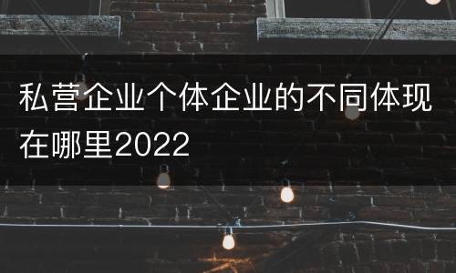 私营企业个体企业的不同体现在哪里2022