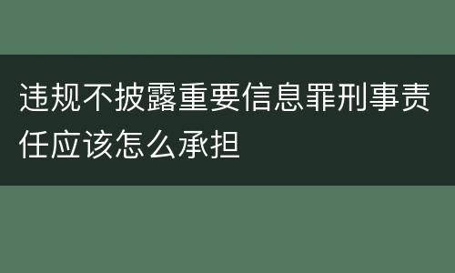 违规不披露重要信息罪刑事责任应该怎么承担