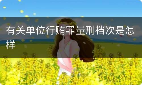 有关单位行贿罪量刑档次是怎样