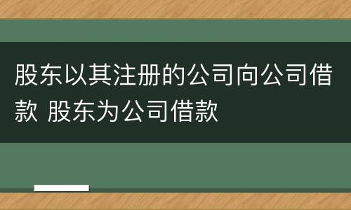 股东以其注册的公司向公司借款 股东为公司借款