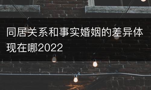 同居关系和事实婚姻的差异体现在哪2022