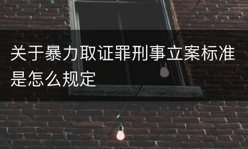关于暴力取证罪刑事立案标准是怎么规定