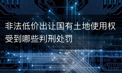 非法低价出让国有土地使用权受到哪些判刑处罚