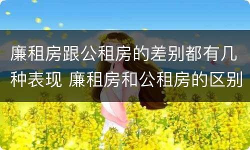 廉租房跟公租房的差别都有几种表现 廉租房和公租房的区别在哪