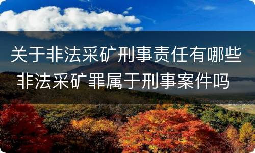 关于非法采矿刑事责任有哪些 非法采矿罪属于刑事案件吗