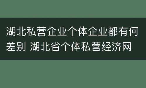 湖北私营企业个体企业都有何差别 湖北省个体私营经济网