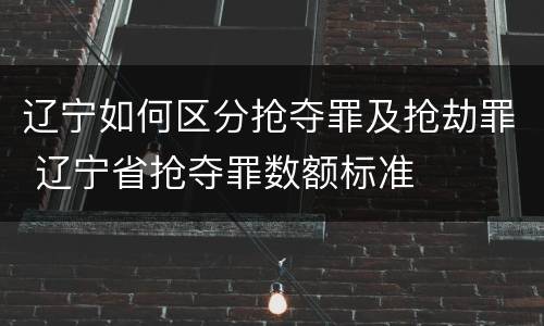 辽宁如何区分抢夺罪及抢劫罪 辽宁省抢夺罪数额标准