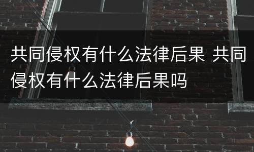 共同侵权有什么法律后果 共同侵权有什么法律后果吗
