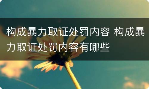 构成暴力取证处罚内容 构成暴力取证处罚内容有哪些