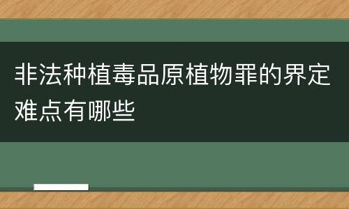 非法种植毒品原植物罪的界定难点有哪些