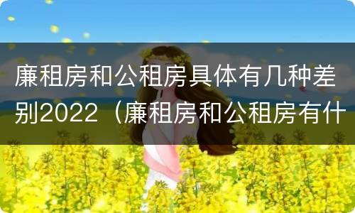 廉租房和公租房具体有几种差别2022（廉租房和公租房有什么不同）