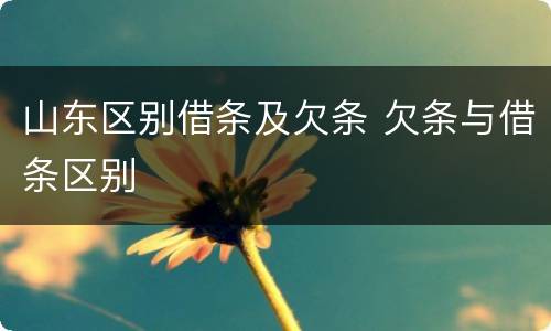 山东区别借条及欠条 欠条与借条区别