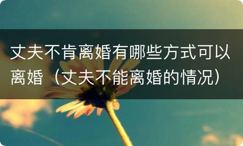 丈夫不肯离婚有哪些方式可以离婚（丈夫不能离婚的情况）