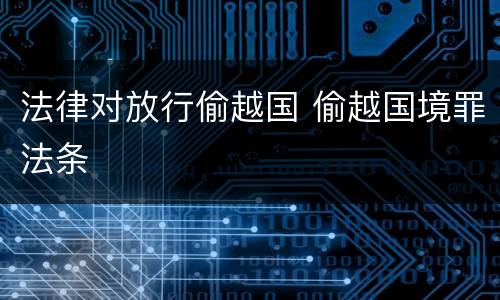 法律对放行偷越国 偷越国境罪法条