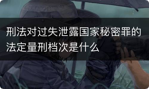 刑法对过失泄露国家秘密罪的法定量刑档次是什么