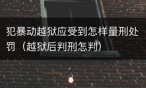 犯暴动越狱应受到怎样量刑处罚（越狱后判刑怎判）