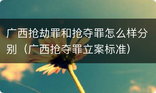 广西抢劫罪和抢夺罪怎么样分别（广西抢夺罪立案标准）