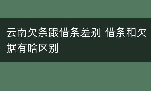 云南欠条跟借条差别 借条和欠据有啥区别