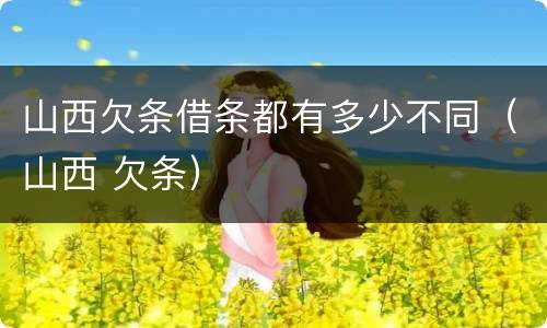 山西欠条借条都有多少不同（山西 欠条）