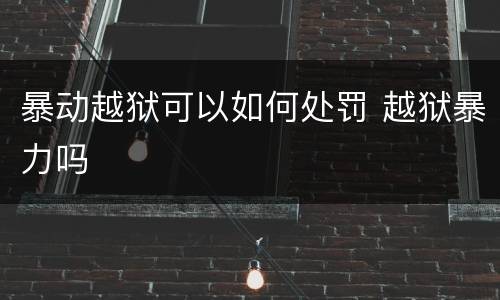 暴动越狱可以如何处罚 越狱暴力吗