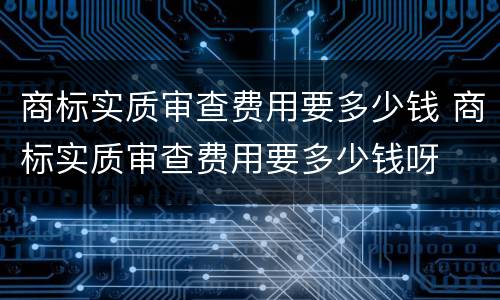 商标实质审查费用要多少钱 商标实质审查费用要多少钱呀