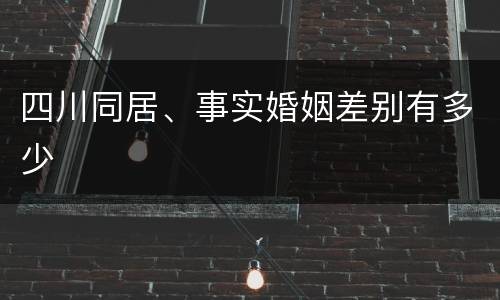 四川同居、事实婚姻差别有多少