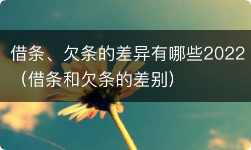 借条、欠条的差异有哪些2022（借条和欠条的差别）