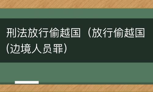 刑法放行偷越国（放行偷越国(边境人员罪）